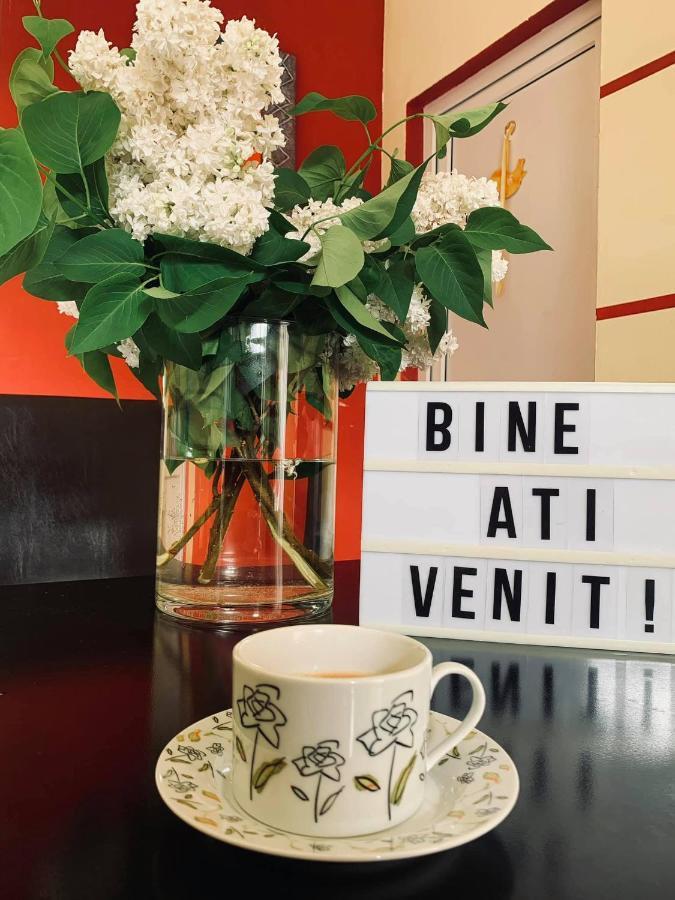 Pensiunea Pastravul Hotel Cîrţişoara Kültér fotó