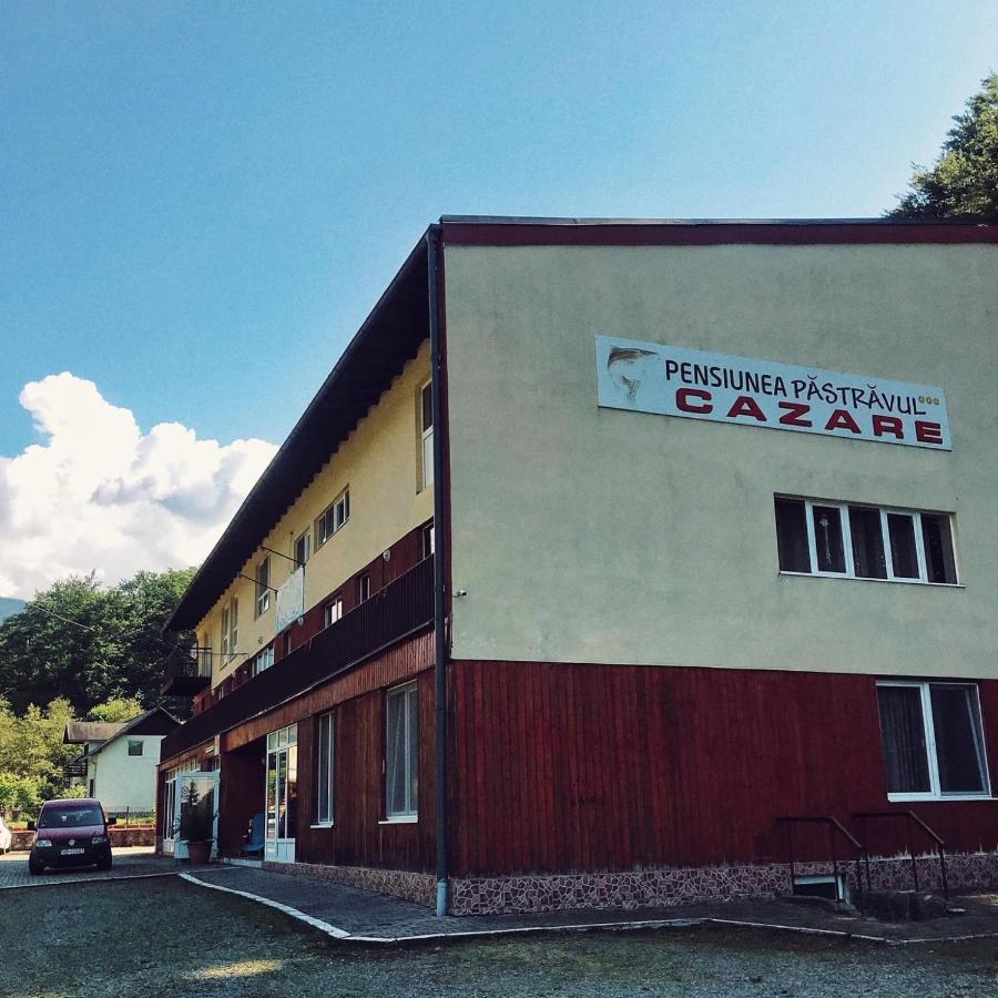 Pensiunea Pastravul Hotel Cîrţişoara Kültér fotó