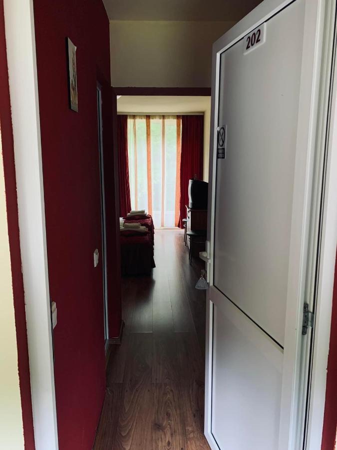 Pensiunea Pastravul Hotel Cîrţişoara Kültér fotó