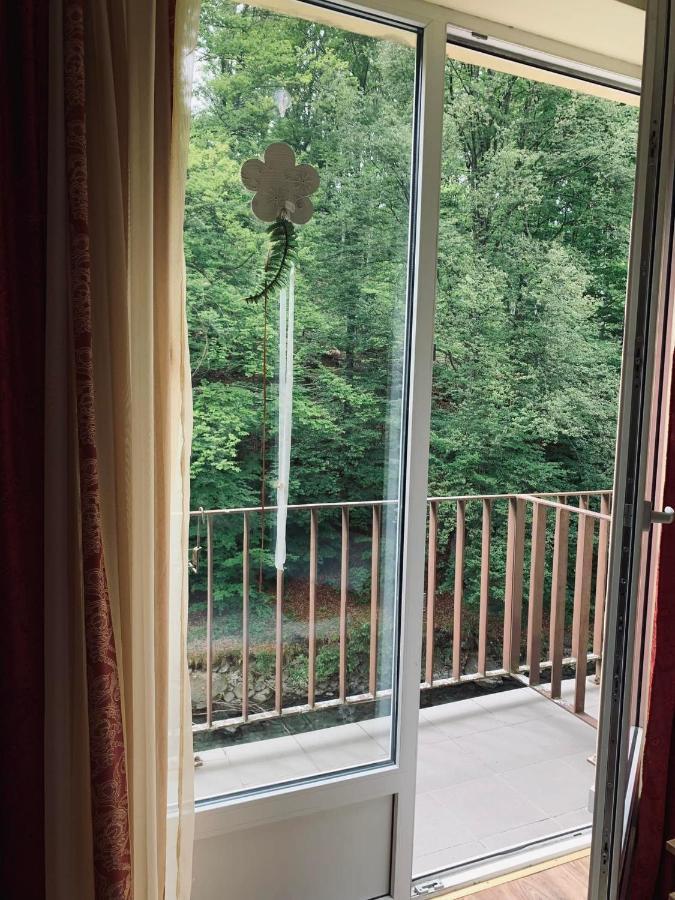 Pensiunea Pastravul Hotel Cîrţişoara Kültér fotó