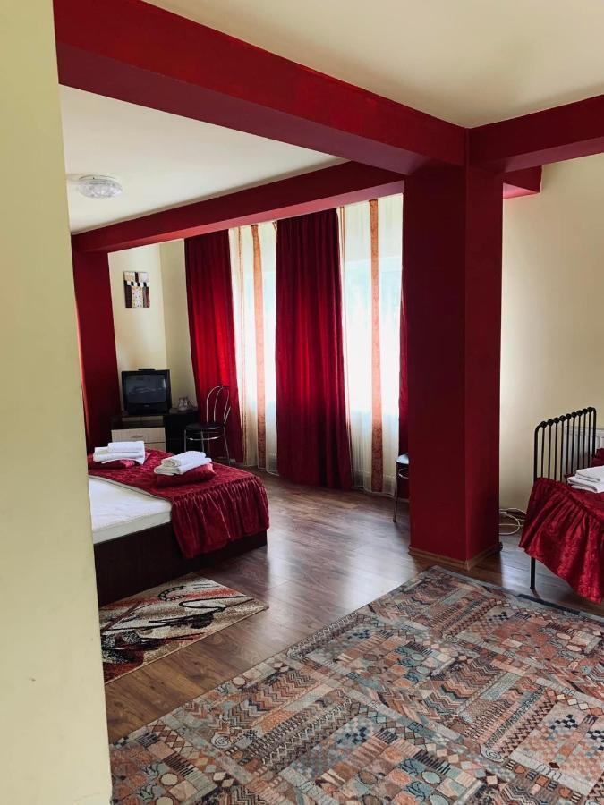 Pensiunea Pastravul Hotel Cîrţişoara Kültér fotó