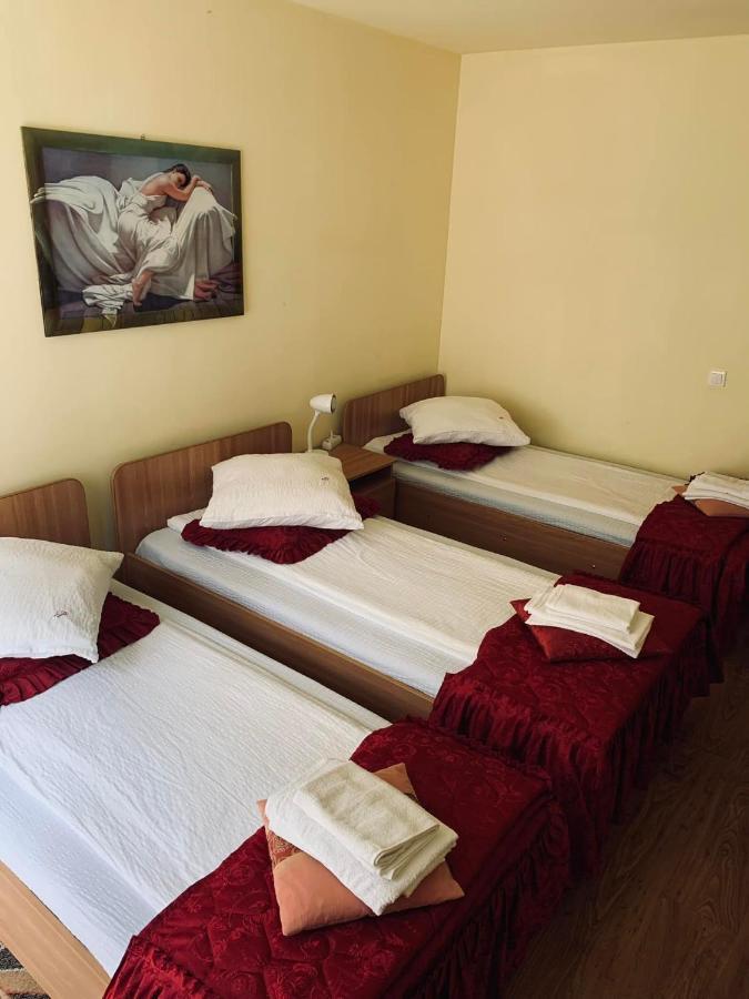 Pensiunea Pastravul Hotel Cîrţişoara Kültér fotó