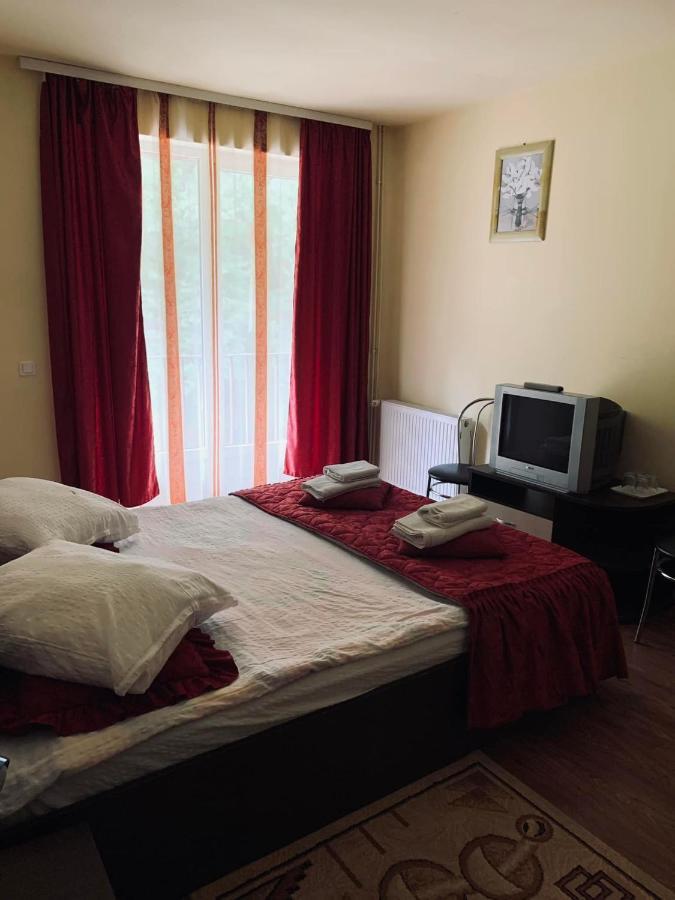 Pensiunea Pastravul Hotel Cîrţişoara Kültér fotó