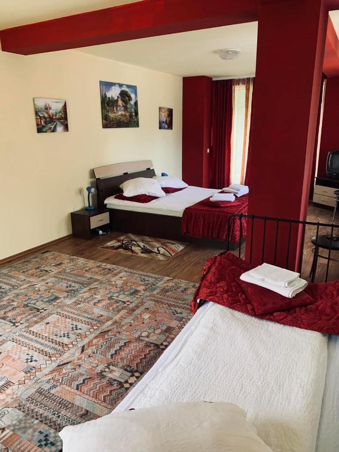 Pensiunea Pastravul Hotel Cîrţişoara Kültér fotó
