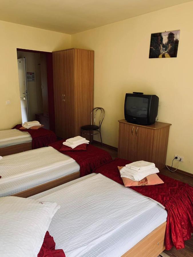 Pensiunea Pastravul Hotel Cîrţişoara Kültér fotó