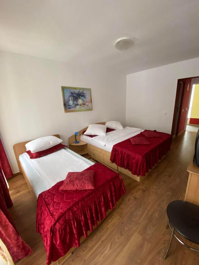 Pensiunea Pastravul Hotel Cîrţişoara Kültér fotó