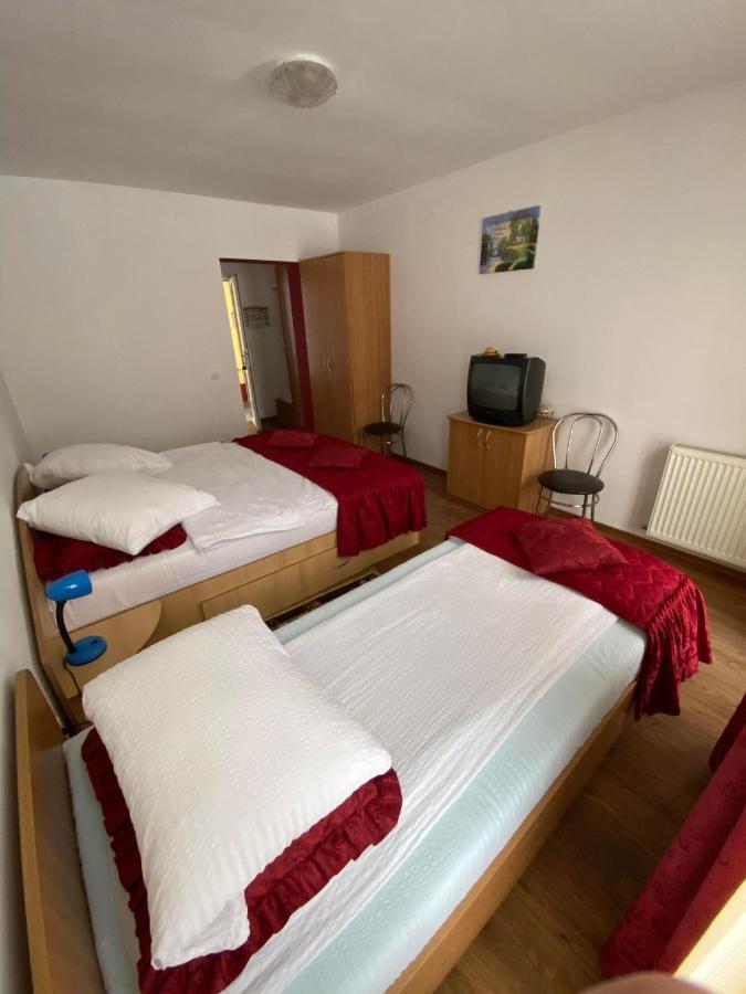 Pensiunea Pastravul Hotel Cîrţişoara Kültér fotó