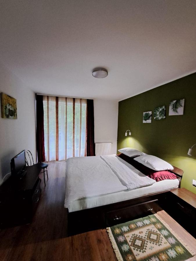 Pensiunea Pastravul Hotel Cîrţişoara Kültér fotó