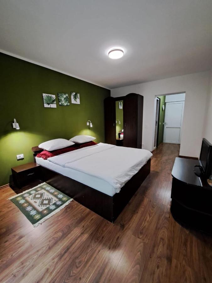 Pensiunea Pastravul Hotel Cîrţişoara Kültér fotó